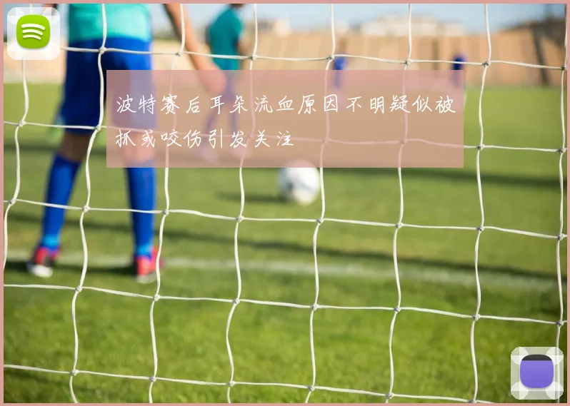 波特赛后耳朵流血原因不明疑似被抓或咬伤引发关注