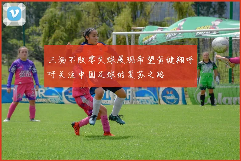 三场不败零失球展现希望黄健翔呼吁关注中国足球的复苏之路